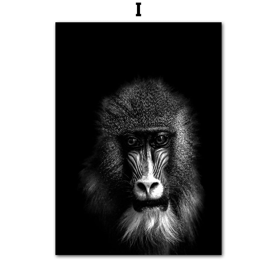 Animal Canvas Poster Painting
