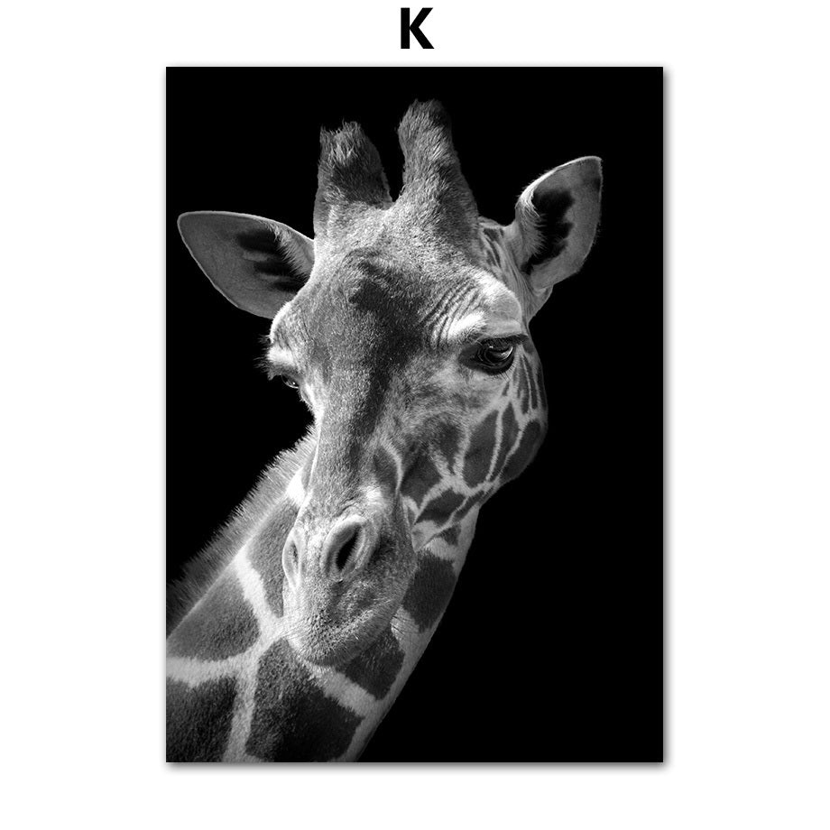 Animal Canvas Poster Painting