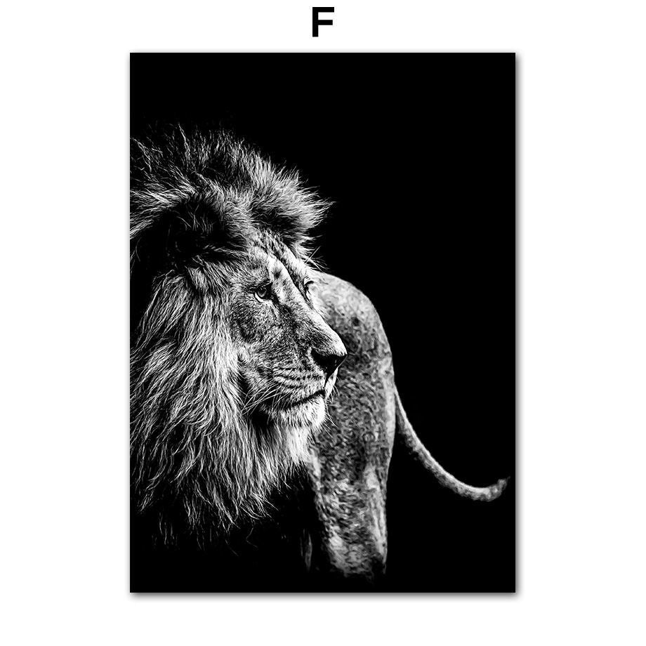 Animal Canvas Poster Painting