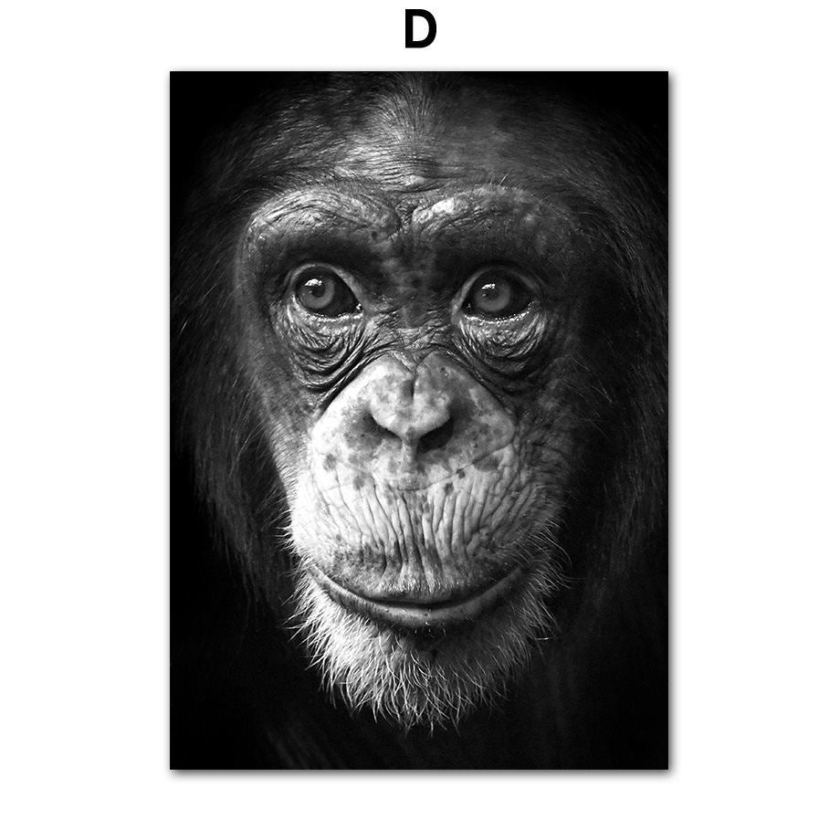 Animal Canvas Poster Painting