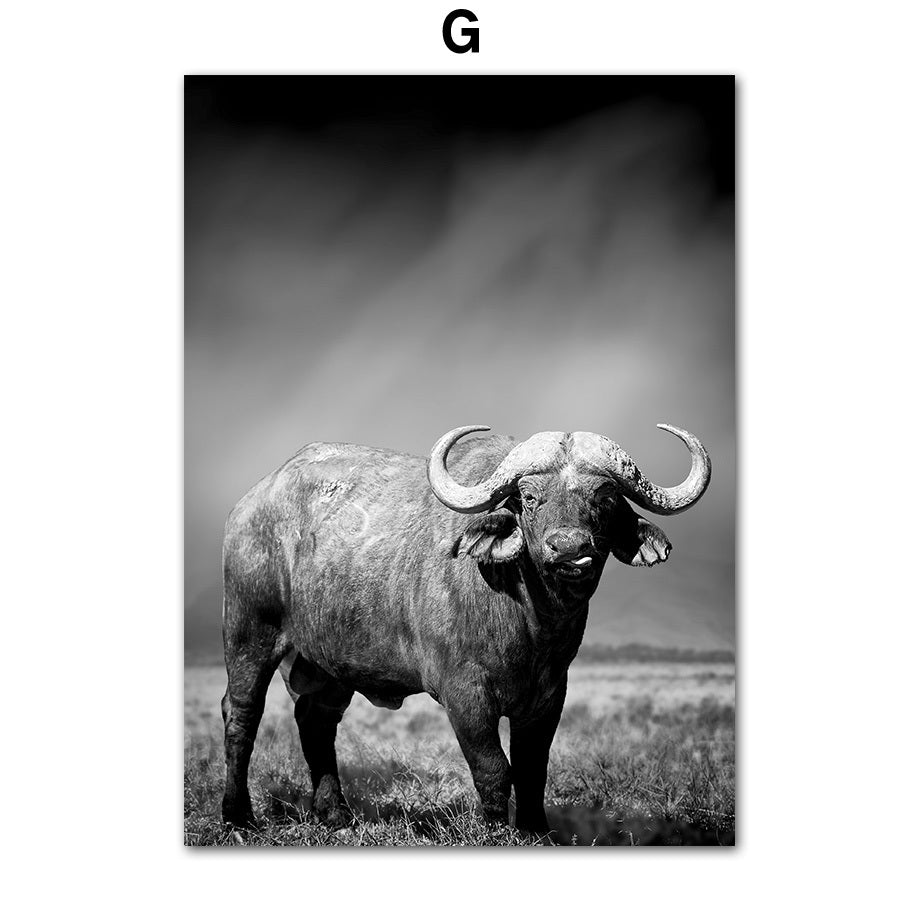 Animal Canvas Poster Painting
